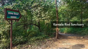 photos of karnala bird sanctuary
